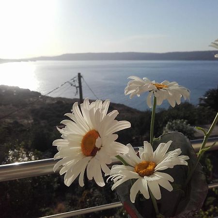 Olympic View Guesthouse Kalami  Экстерьер фото